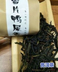 像鸭屎一样的普洱茶是什么牌子？求解！