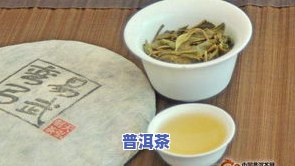 普洱茶顶尖茶区排名：揭秘全国十大更佳产地