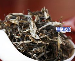 探究冰岛坝歪古树茶的独特口感与特点