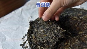 普洱茶饼是绿茶吗，揭秘茶叶世界：普洱茶饼究竟是绿茶还是红茶？