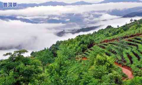 冰岛东半山和西半山，探索冰岛之美：东半山与西半山的自然奇观