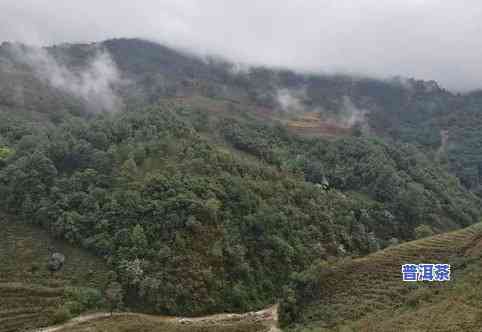 冰岛东半山和西半山，探索冰岛之美：东半山与西半山的自然奇观