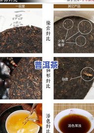 一品佳韵普洱茶，品味一品佳韵：探索普洱茶的韵味与魅力