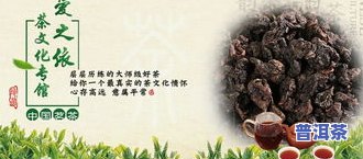 普洱茶化石的冲泡方法详解：步骤、视频与技巧全攻略