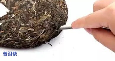 普洱茶太紧？教你如何轻松泡开并品尝美味