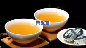 百合普洱茶的特点是什么？详解其独特之处