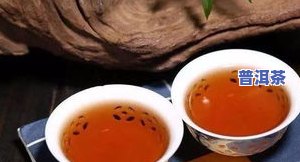 茶化石是普洱茶-茶化石是普洱茶吗