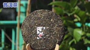 普洱茶造茶工序流程，探秘普洱茶的造茶工序流程：从采摘到包装的全过程解析