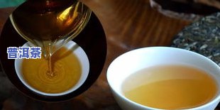 600一斤的冰岛茶价格：单卖、整盒还是瓶装？