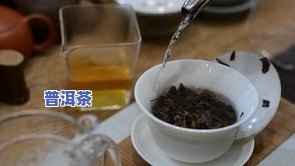 普洱茶是否洗茶泡，普洱茶需要洗茶再泡吗？