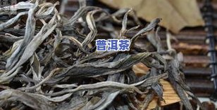 冰岛古树茶多少钱一公斤，探究冰岛古树茶的价格：每公斤价值几何？