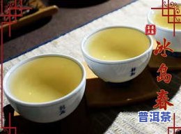 冰岛普洱茶香味，探索冰岛普洱茶的特别香气