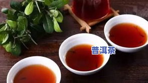 全面解析：普洱茶干茶形状、图片与特征