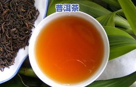 普洱茶的真假：如何辨别与鉴别？