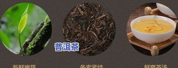 普洱茶经典拼配配方：比例与基本规则全解析