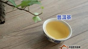 最升值的普洱茶排名榜最新-什么普洱茶升值快