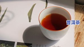 八马茶业冰岛，探秘冰岛：八马茶业带你领略神秘的普洱茶故乡