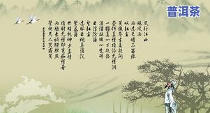 普洱茶诗：精选100首诗词佳句