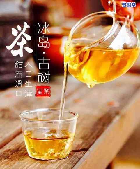 探究双江勐库冰岛古树茶厂的茶品质：官网与价格全解析