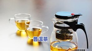 飘逸杯泡普洱茶合适吗？正确方法与效果探讨