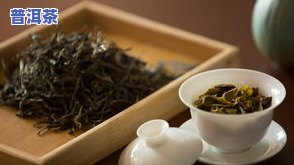 飘逸杯泡普洱茶合适吗？正确方法与效果探讨