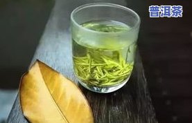 青年适合喝什么茶叶好，探讨青年适合饮用的茶叶种类