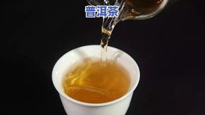 普洱茶头春与二春有何差别？深度解析