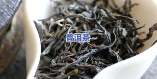 普洱茶易武茶区，探秘茶叶文化：走进普洱茶的故乡——易武茶区