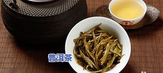 普洱茶撬开小窍门全攻略