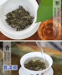 普洱茶一品堂：一品金砖，品质保障，怎样评价？