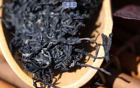 普洱茶紫芽：品种级别、价格及图片全解