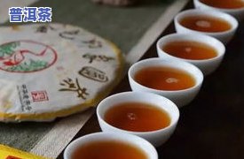 深度解析：冰岛茶与勐海茶的区别