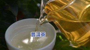 早春普洱生茶的特点：清新、回甘、带花香，茶叶嫩绿肥厚，具有特别的季节风味。