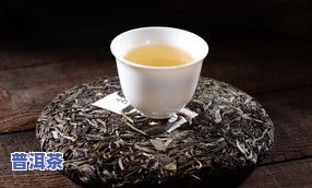 一起品普洱茶-一起品普洱茶的文案