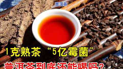 普洱茶可以做饭吗，普洱茶：除了饮用，还能否用于烹饪？