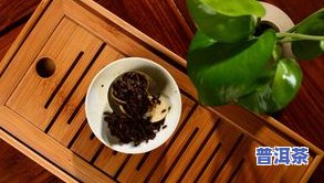 小青柑普洱茶怎样储存-小青柑普洱茶怎样储存更好