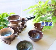 冰岛高山纯料大树茶：价格与品鉴