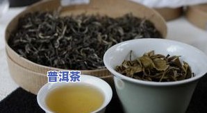 普洱茶就不是茶吧吗为什么-普洱茶就不是茶吧吗为什么呢