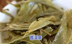 班章茶属于生茶还是熟茶-班章茶是熟茶还是生茶