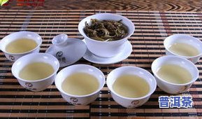 普洱茶的由来与简介视频讲解，探秘普洱茶的历史渊源：一份全面的简介视频讲解