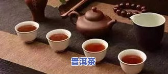 普洱茶烤茶程序设计：方案与方法探讨