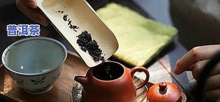 熟普洱茶怎么烘干保存更好-熟普洱茶怎么烘干保存更好呢