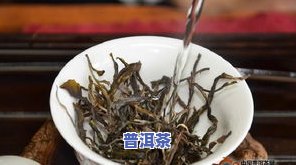 冰岛古树茶泡法，探索神秘的冰岛古树茶：正确的冲泡方法与技巧