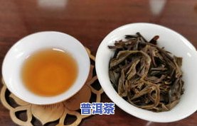 寻找正宗好喝的冰岛茶厂：哪家最值得推荐？