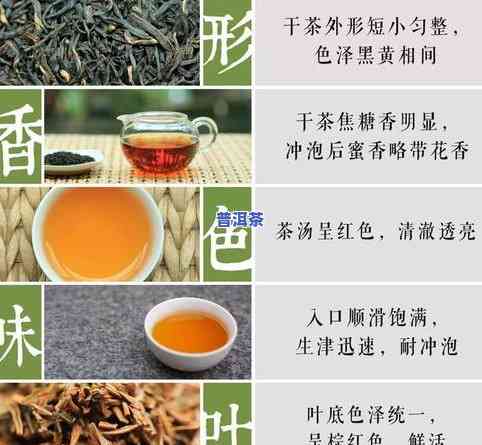 性价比高的茶叶推荐及排行榜