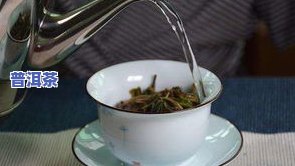 冰岛熟茶的冲泡方法-冰岛熟茶的冲泡方法视频