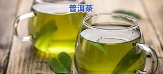 冰岛金芽是什么茶，揭秘珍稀茶叶品种：冰岛金芽，你了解吗？