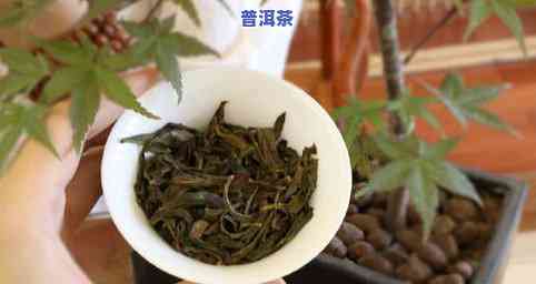 江西茶叶品种，探寻江西茶叶的丰富品种，领略特别的茶香韵味