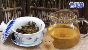 普洱茶：年头真的越长越好吗？探究原因