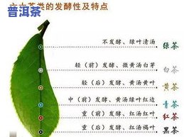 探究茶叶煮水方式：方法大全与技巧分享